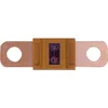 Image de Fusible Plat De Type Midival Restagraf 32v 30 A