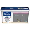 Image de Ripolin Peinture Couleur Velours Pour Murs, Boiseries Radiateurs - Gris Ardoise