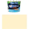 Image de Ripolin - Peinture Protection Extrême Façade et Sous-bassement Mat 10 Litres Ton pierre