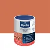 Image de Revêtement d'étanchéité toiture, RIPOLIN Anti-infiltration terre cuite 0,75 L