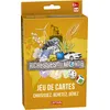 Image de Jeu de cartes Lansay Richesses du monde