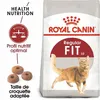 Image de Croquette chat royalcanin fit32 400g ROYAL CANIN 25200040