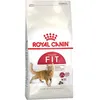 Image de Croquette chat royalcanin fit32 4kg ROYAL CANIN 25200400