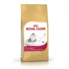 Image de Croquettes pour chats royal canin persian 30 sac 10 kg