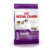 Image de Croquettes royal canin giant adulte sac 15 kg