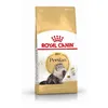 Image de Croquette chat royalcanin persian 4kg ROYAL CANIN 25520400