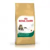 Image de Royal canin - maine coon adult - 2 kg
