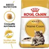 Image de Croquette chat royalcanin mainecoon 4kg ROYAL CANIN 25500400