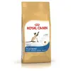 Image de Croquettes pour chats royal canin siamese 38 sac 2 kg