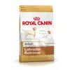 Image de Royal Canin - Croquettes Labrador pour Chien Adulte - 3Kg