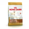 Image de Croquettes royal canin labrador retriever 30 adulte sac 12 kg