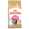 Image de 4kg Kitten Persian Royal Canin Croquettes pour chaton