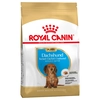Image de 1,5kg Teckel Puppy Chiot Royal Canin - Croquettes pour chien