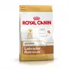 Image de Croquettes royal canin labrador retriever 33 junior sac 12 kg