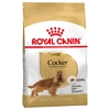 Image de Royal Canin Cocker Adult pour chien - 3 kg