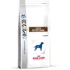 Image de Croquettes royal canin veterinary diet gastro intestinal pour chiens sac 2 kg