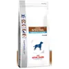 Image de Croquettes royal canin veterinary diet gastro intestinal moderate calorie pour chiens sac 2 kg