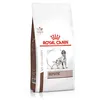 Image de Croquettes Royal Canin Veterinary diet dog hepatic - 12kg
