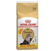 Image de 10+2kg Persian Adult Royal Canin Croquettes pour chat