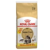 Image de 10+2kg Maine Coon Adult Royal Canin Croquettes pour chat