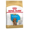 Image de 3kg Cocker Puppy Chiot Royal Canin - Croquettes pour chien