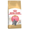 Image de 2kg Kitten British Shorthair Royal Canin Croquettes pour chat