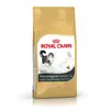 Image de Royal Canin - Croquettes Norwegian Forest pour Chat Adulte - 2Kg