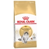 Image de 10kg Norvégien Royal Canin Croquettes pour chat de race Norwegian Forest Cat