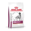 Image de 10kg Renal Select Royal Canin Veterinary Diet - Croquettes pour chien