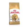 Image de 2kg Bengal Royal Canin - Croquettes pour chat Bengal