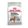 Image de 10kg Medium Dental Care Royal Canin Care Nutrition - Croquettes pour chien