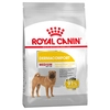 Image de 12kg Medium Dermacomfort Royal Canin - Croquettes pour chien