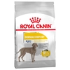 Image de Royal Canin Maxi Dermacomfort pour chien - 12 kg
