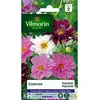 Image de Vilmorin 5248142 Pack De Graines Cosmos Psyché Varié