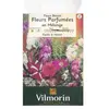 Image de Fleurs Parfumees Melange Vilmorin