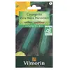 Image de Courgette Verte.Noire Mar. Bio Vilmorin