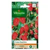 Image de vilmorin fraisier des 4 saisons supreme