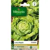 Image de Vilmorin 3600142 Pack De Graines Laitue Pommée Appia