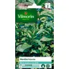 Image de Menthe Poivrée Vilmorin