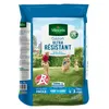 Image de vilmorin semences de gazon ultra-résistant label rouge - 10 kg