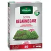 Image de vilmorin semences pour soins et regarnissage universel de gazon - 2 en 1 - 1 kg