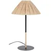 Image de Lampe Métal Playa H50 Cm Naturel Corep