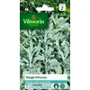 Image de Sauge Officinale Vilmorin