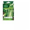 Image de Sachet graines Celeri Branche d'Elne