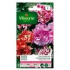 Image de vilmorin godetia double a fleur d'azalée varié