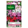 Image de vilmorin phlox de drummond a grande fleur varié