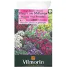 Image de Vilmorin 5860943 Pack De Graines Fleur Vivace Pour Rocaille