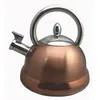 Image de Bouilloire à sifflet en inox 3l stainless_steel
