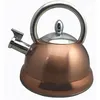 Image de Bouilloire Inox Coloris Cuivre 3l à Sifflet