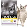 Image de Purina Proplan - Chat Adult Light - 3kg